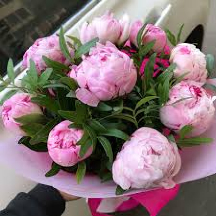 Пион древовидный в Кокшетау