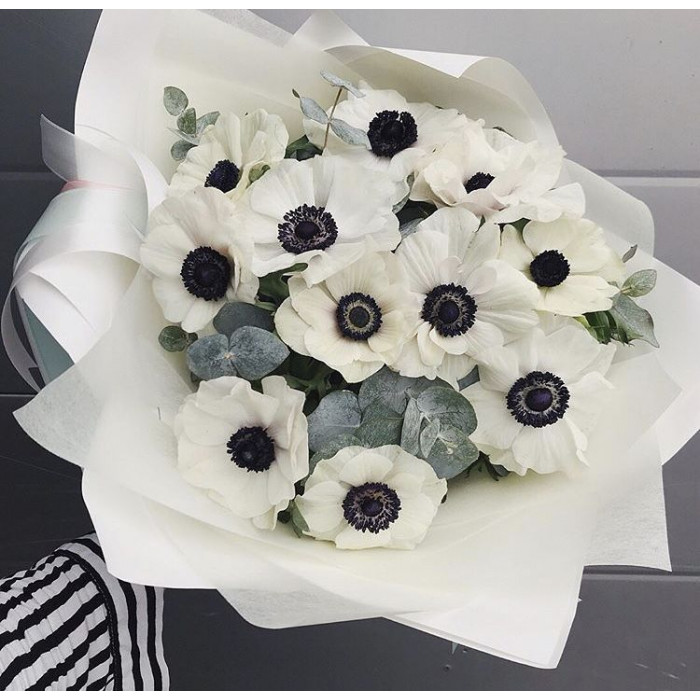 Анемоны в Кокшетау