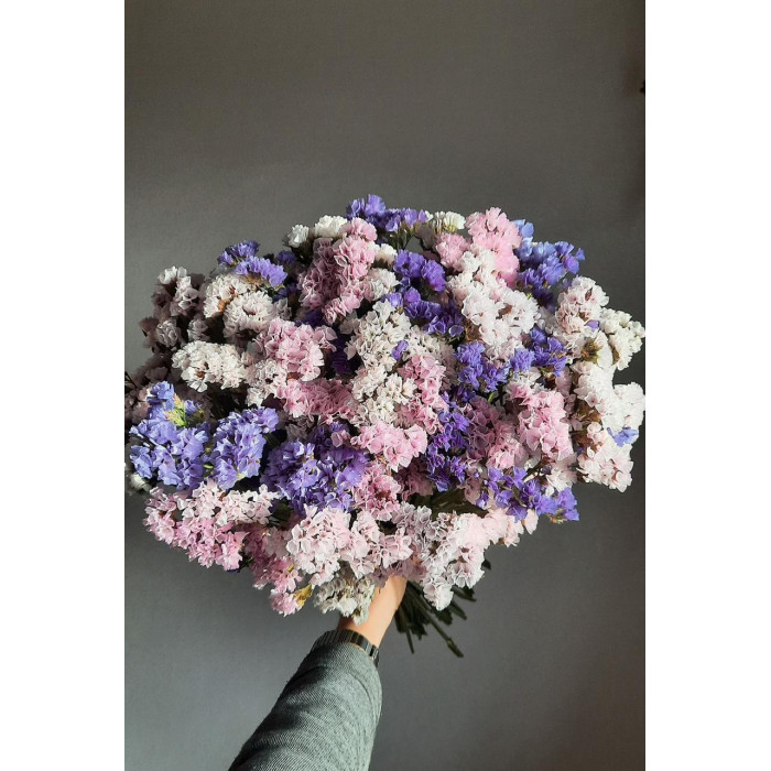 Статица (Лимониум) в Кокшетау