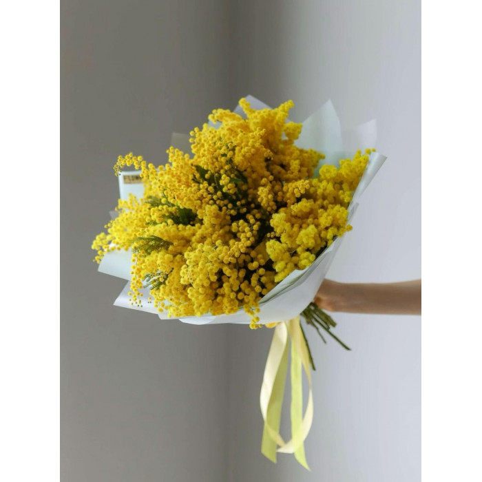 Мимоза в Кокшетау