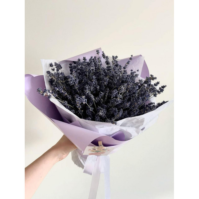 Лаванда в Кокшетау