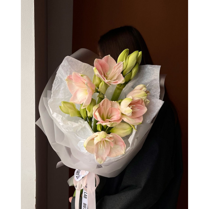 Амариллис в Кокшетау