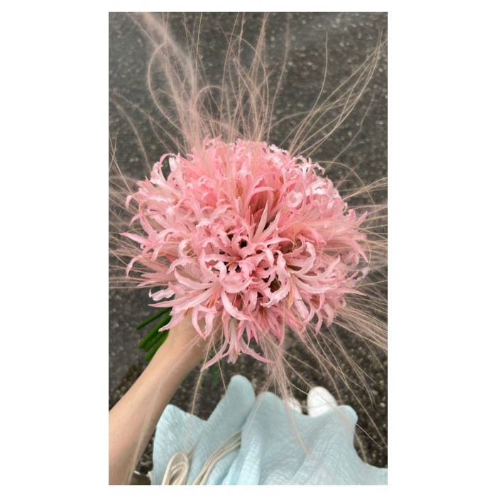 Нерине в Кокшетау