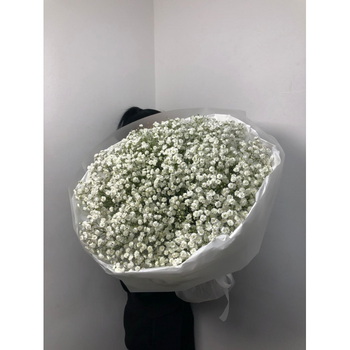 Гипсофила классическая в Кокшетау