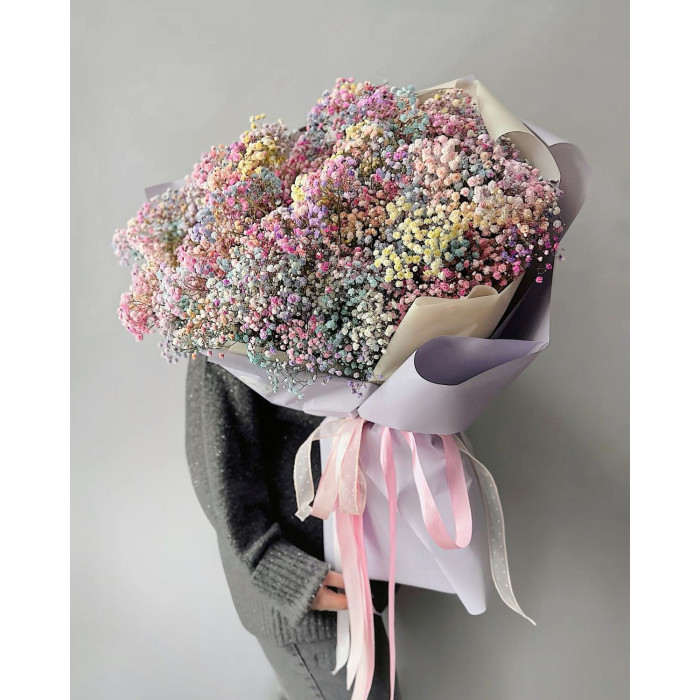 Гипсофила цветная в Кокшетау