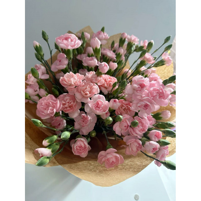 Кустовые гвоздики в Кокшетау