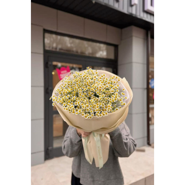 Танацетум в Кокшетау