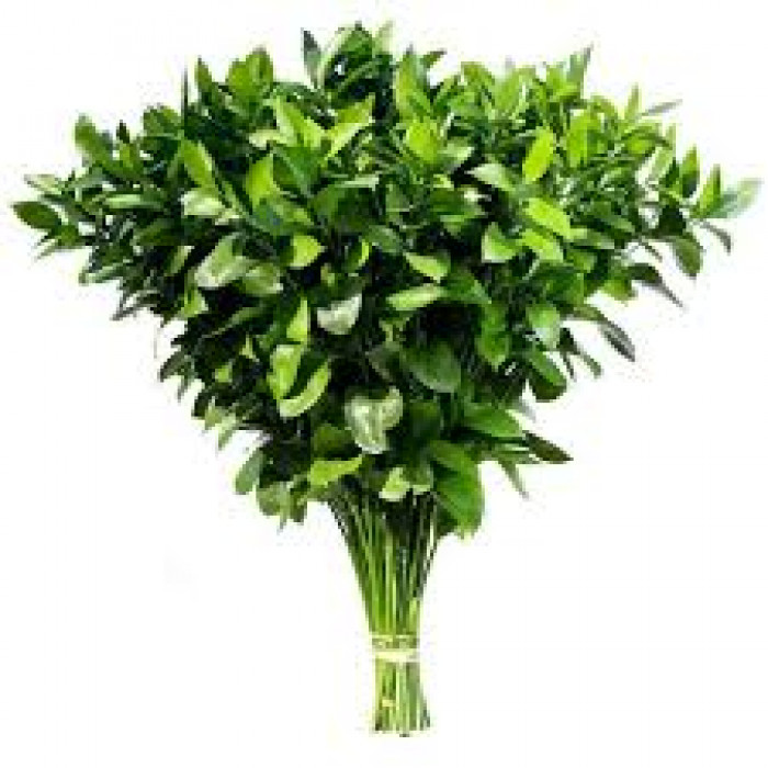 Рускус в Кокшетау